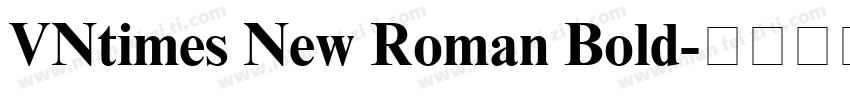 VNtimes New Roman Bold字体转换